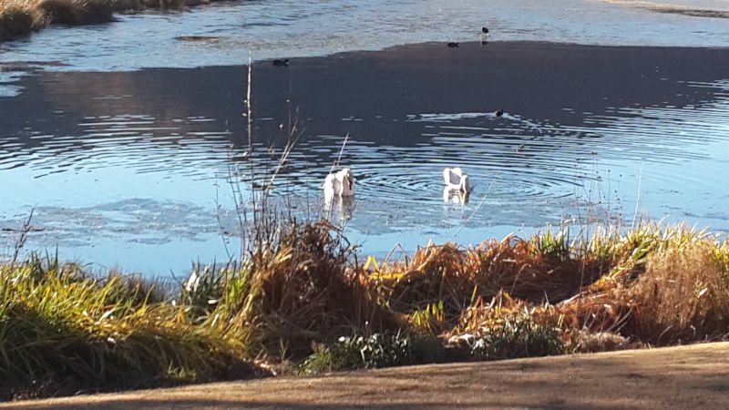 Farflung9a Farflung9a