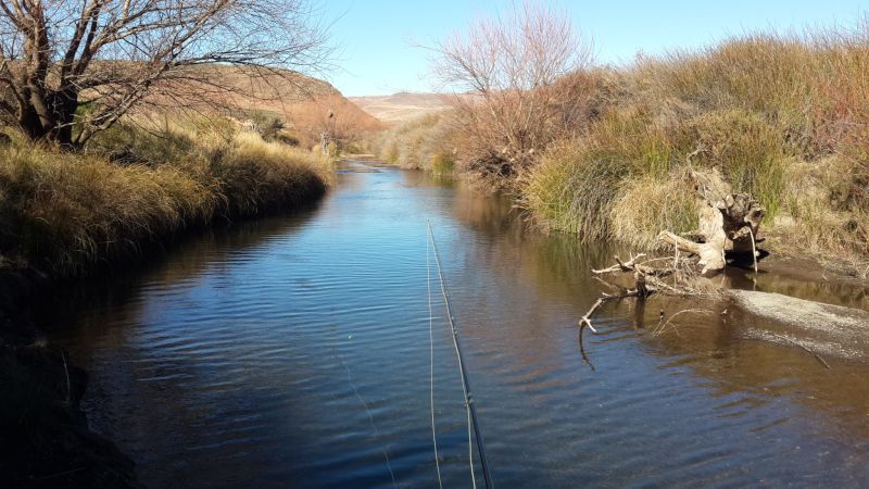 Farflung9a Farflung9a