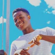 fanuel17