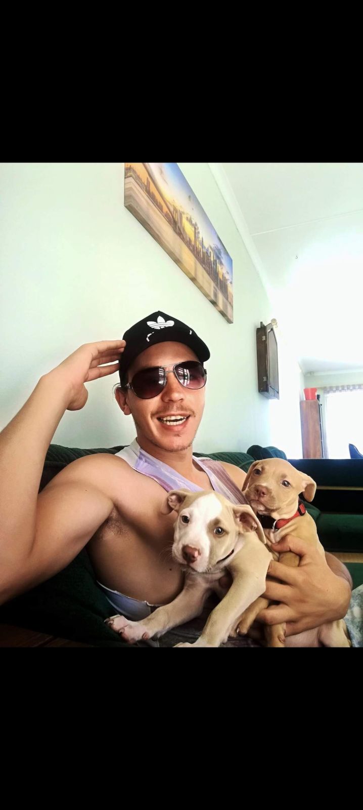 Shaunss